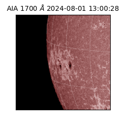 saia - 2024-08-01T13:00:28.720000