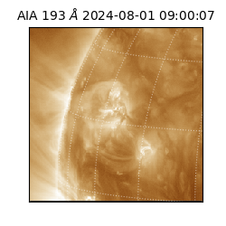 saia - 2024-08-01T09:00:07.034000