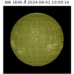saia - 2024-08-01T10:00:14.126000