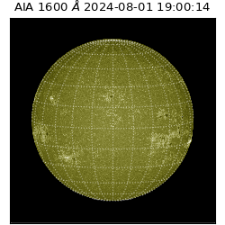 saia - 2024-08-01T19:00:14.126000