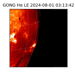 gong - 2024-08-01T03:13:42