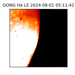 gong - 2024-08-01T05:11:42