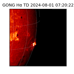 gong - 2024-08-01T07:20:22