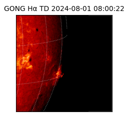 gong - 2024-08-01T08:00:22