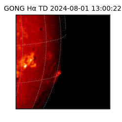 gong - 2024-08-01T13:00:22