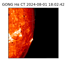 gong - 2024-08-01T18:02:42