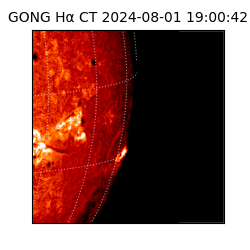 gong - 2024-08-01T19:00:42