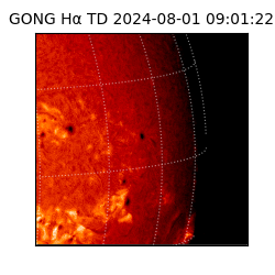 gong - 2024-08-01T09:01:22