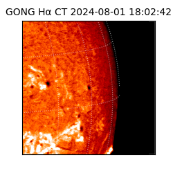gong - 2024-08-01T18:02:42
