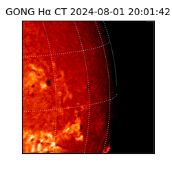 gong - 2024-08-01T20:01:42