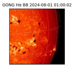 gong - 2024-08-01T01:00:02