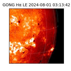gong - 2024-08-01T03:13:42