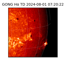 gong - 2024-08-01T07:20:22