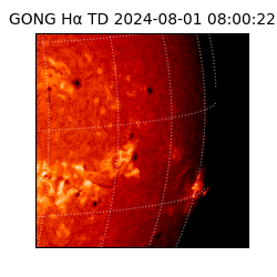 gong - 2024-08-01T08:00:22