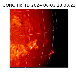 gong - 2024-08-01T13:00:22