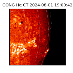 gong - 2024-08-01T19:00:42