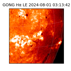 gong - 2024-08-01T03:13:42