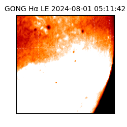 gong - 2024-08-01T05:11:42