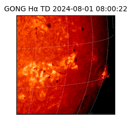 gong - 2024-08-01T08:00:22