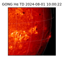 gong - 2024-08-01T10:00:22