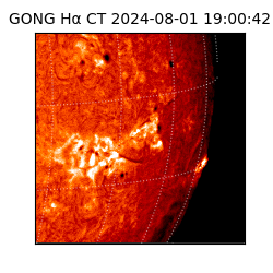 gong - 2024-08-01T19:00:42