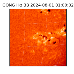 gong - 2024-08-01T01:00:02