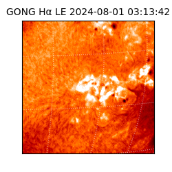 gong - 2024-08-01T03:13:42