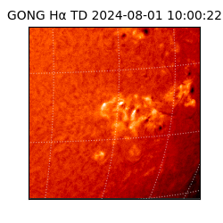 gong - 2024-08-01T10:00:22