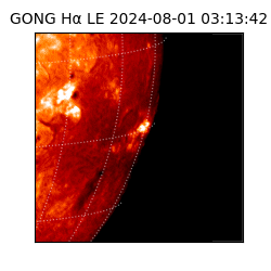 gong - 2024-08-01T03:13:42