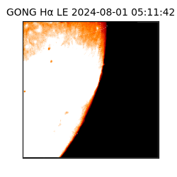 gong - 2024-08-01T05:11:42