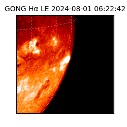 gong - 2024-08-01T06:22:42