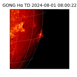 gong - 2024-08-01T08:00:22