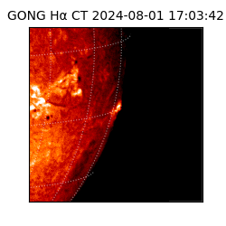 gong - 2024-08-01T17:03:42