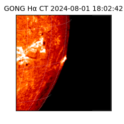 gong - 2024-08-01T18:02:42