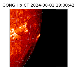 gong - 2024-08-01T19:00:42