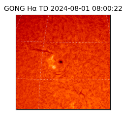 gong - 2024-08-01T08:00:22