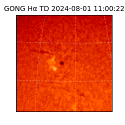 gong - 2024-08-01T11:00:22