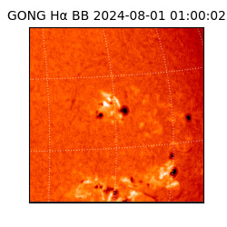 gong - 2024-08-01T01:00:02