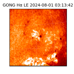 gong - 2024-08-01T03:13:42