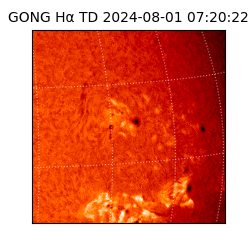 gong - 2024-08-01T07:20:22