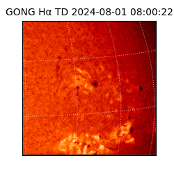 gong - 2024-08-01T08:00:22