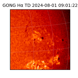 gong - 2024-08-01T09:01:22