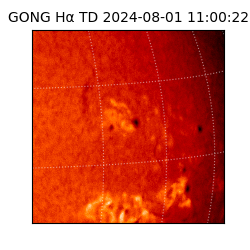 gong - 2024-08-01T11:00:22