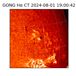 gong - 2024-08-01T19:00:42