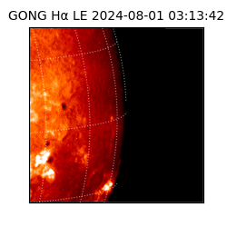 gong - 2024-08-01T03:13:42