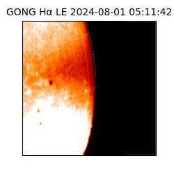 gong - 2024-08-01T05:11:42