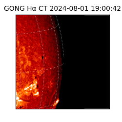 gong - 2024-08-01T19:00:42