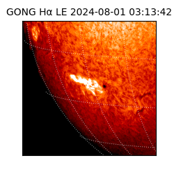 gong - 2024-08-01T03:13:42