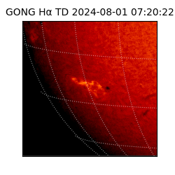gong - 2024-08-01T07:20:22