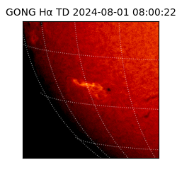 gong - 2024-08-01T08:00:22